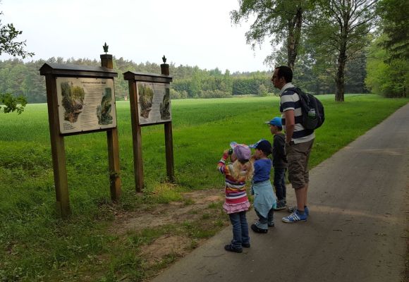 Wald, Kinder, Gästeführerin