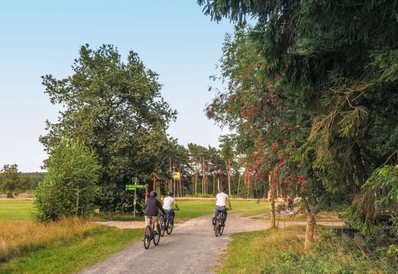 Radfahren im Erholungsgebiet Thülsfelder Talsperre Drei Personen radeln auf einem Weg durch eine grüne Landschaft an der Thülsfelder Talsperre.