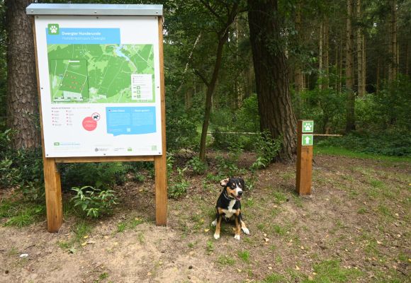 Dwergter Hunderunde Start Dwergter Hunderunde Start mit Hund