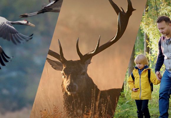 Wild-und Naturwoche OM